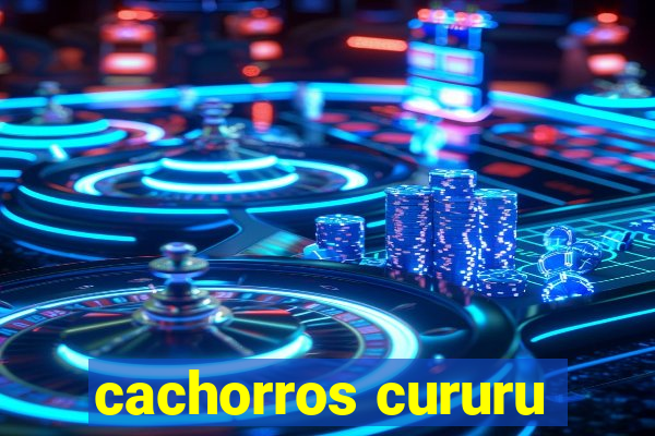 cachorros cururu